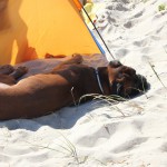DK: Entspannen am Strand